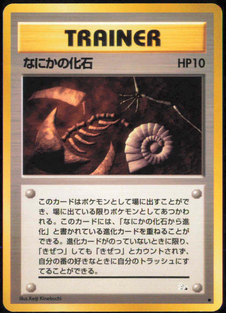 Mysterious Fossil - Mystery of the Fossils - Normal