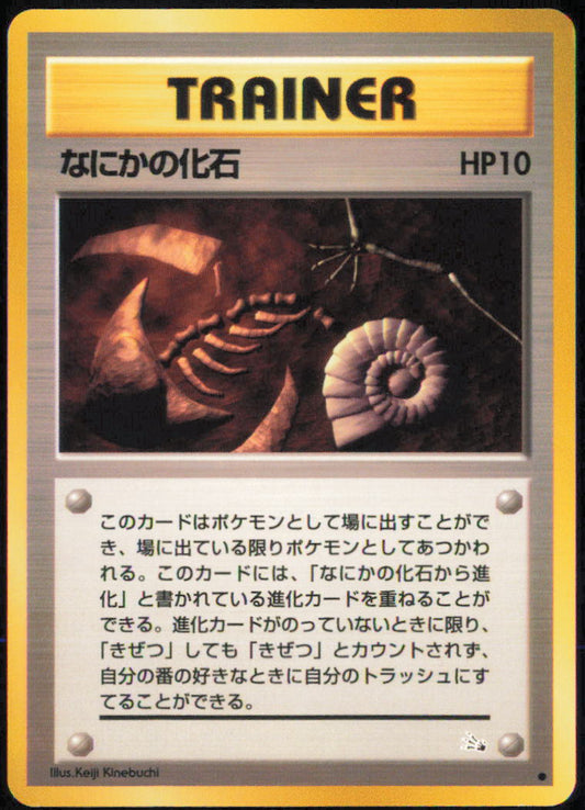 Mysterious Fossil - Mystery of the Fossils - Normal
