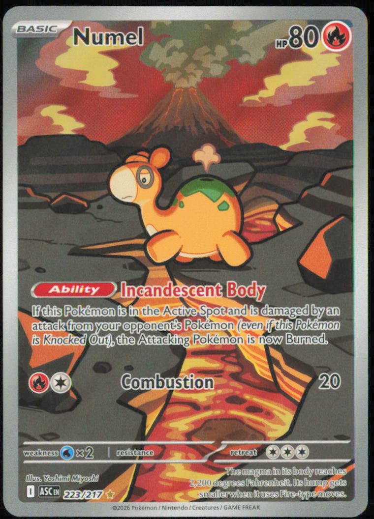 Numel - 223/217 - ME: Ascended Heroes - ASC - 223/217 - Holofoil